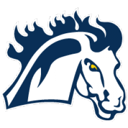 Mount Mercy Mustangs